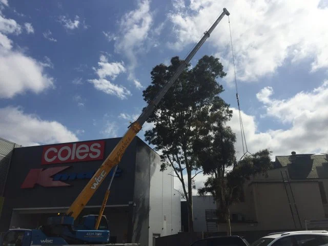 Experience with Cranes
